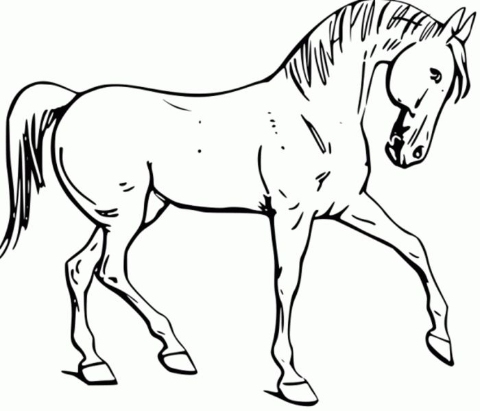 Printable horse coloring book